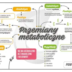 Jak uczyć się biologii? Opanuj maturę i zrozum życie!