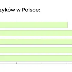 Jaki język obcy wybrać po angielskim? Inwestycja w przyszłość