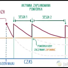 Jak skutecznie uczyć się słówek? Pokonaj krzywą zapominania!