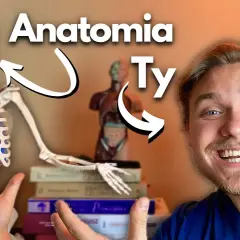Jak uczyć się anatomii? Sprawdzone metody i triki dla studentów