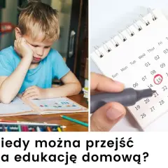 Edukacja domowa: Jak przejść formalności krok po kroku?
