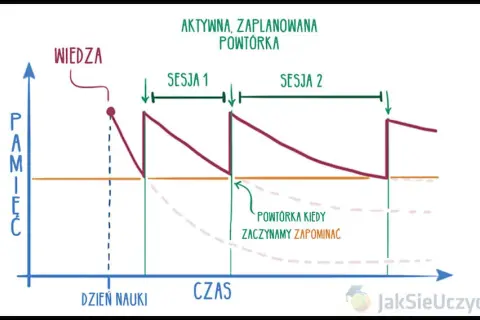 Jak skutecznie uczyć się słówek? Pokonaj krzywą zapominania!