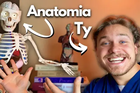 Jak uczyć się anatomii? Sprawdzone metody i triki dla studentów
