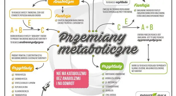Jak uczyć się biologii? Opanuj maturę i zrozum życie!