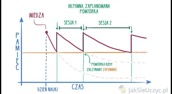 Jak skutecznie uczyć się słówek? Pokonaj krzywą zapominania!