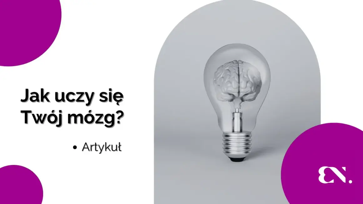 Jak uczy się mózg? Odkryj sekrety efektywnej nauki i pamięci