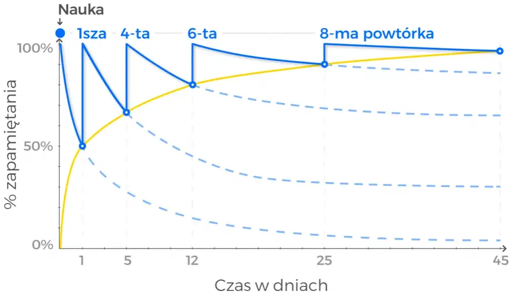 krzywa zapominania wykres